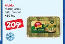 Algida Maraş Usulü Fıstık Cenneti 460Ml