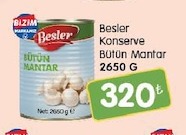 Besler Konserve Bütün Mantar 2650 G