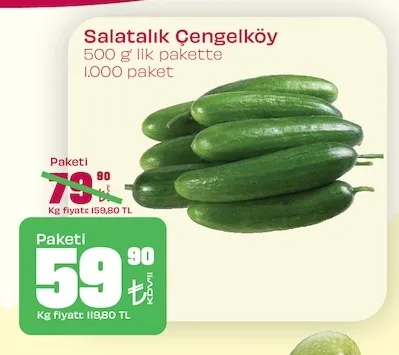 Salatalık Çengelköy 500 G Lık Pakette