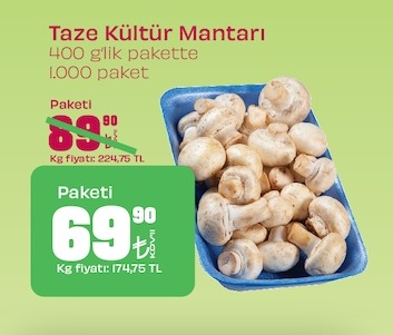 Taze Kültür Mantarı 400G