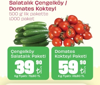 Çengelköy Salatalık Paketi 500G