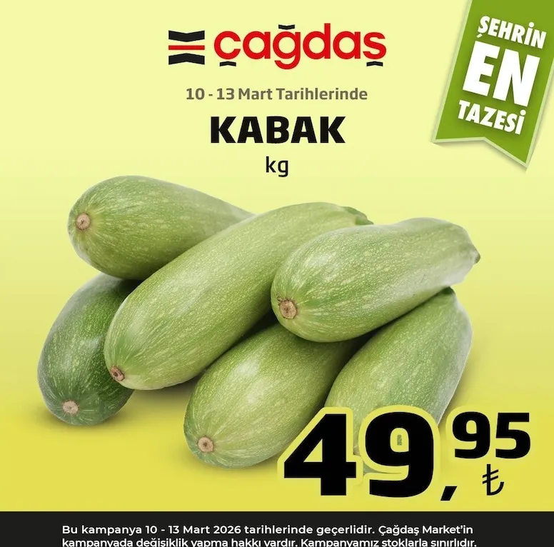 Çağdaş Kabak Kg