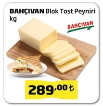 Bahçivan Blok Tost Peyniri Kg