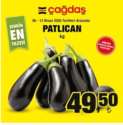 Çağdaş Patlıcan Kg