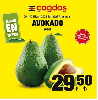 Çağdaş Avokado Adet