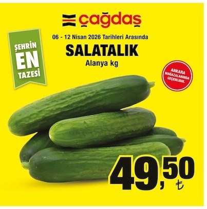 Salatalık Alanya Kg