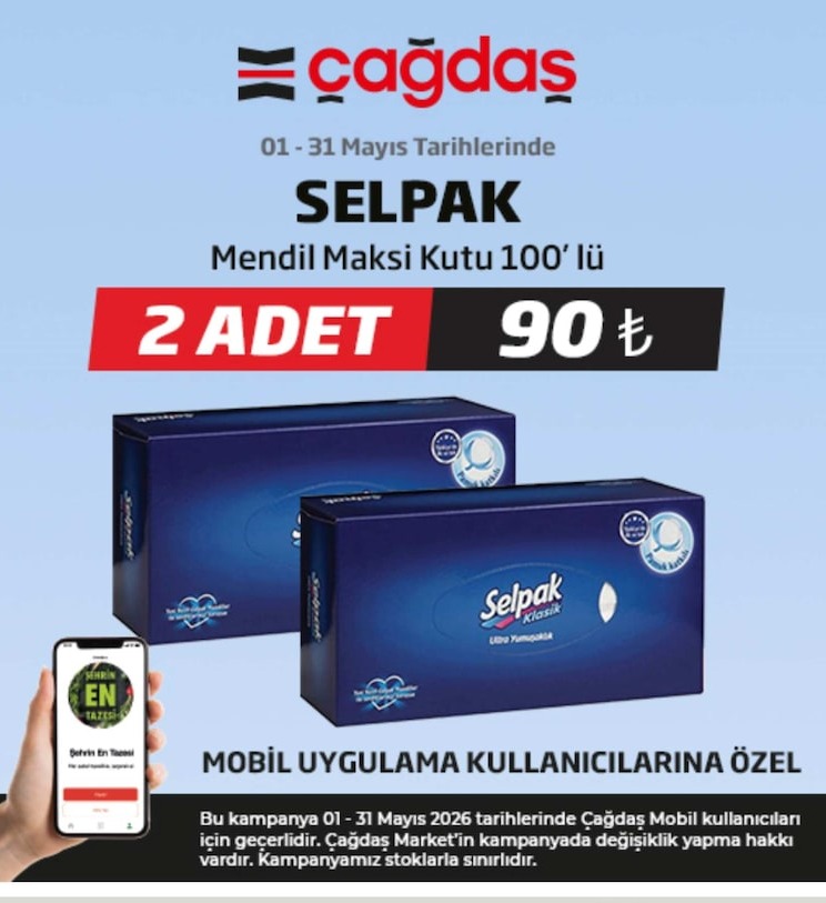 Selpak Mendil Maksi Kutu 100'Lü