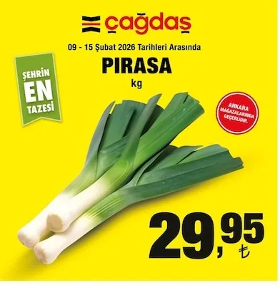 Çağdaş Pırasa Kg