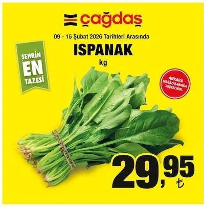 Çağdaş Ispanak Kg