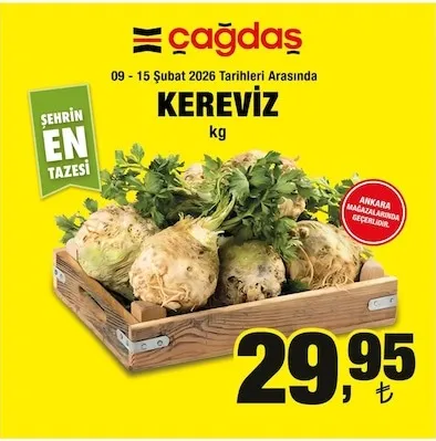 Çağdaş Kereviz Kg