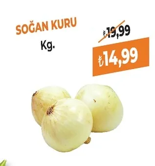 Soğan Kuru Kg.
