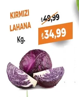 Kırmızı Lahana Kg.
