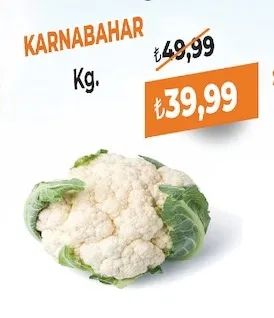 Karnabahar Kg.