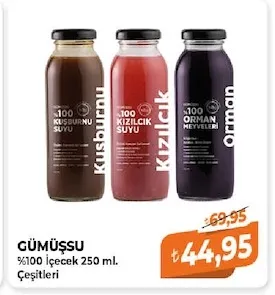 Gümüşsu %100 İçecek 250 Ml. Çeşitleri
