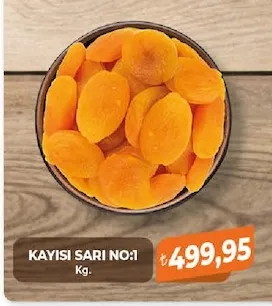 Kayisi Sari No:1 Kg.