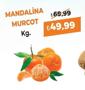 Mandalina Murcot Kg