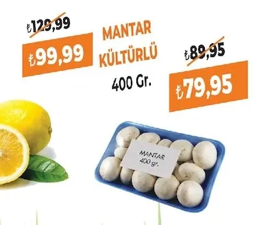 Mantar Kültürlü 400 Gr