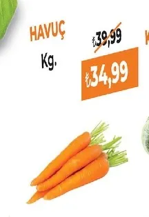 Havuç Kg