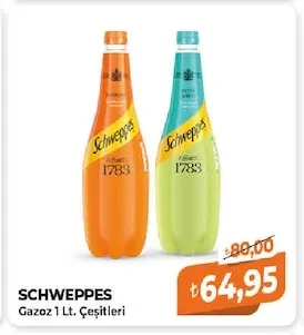 Schweppes Gazoz 1 Lt Çeşitleri
