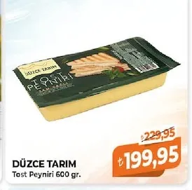 Düzce Tarim Tost Peyniri 600 Gr.
