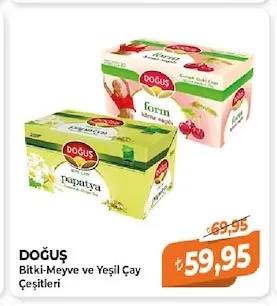 Doğuş Bitki-Meyve Ve Yeşil Çay Çeşitleri
