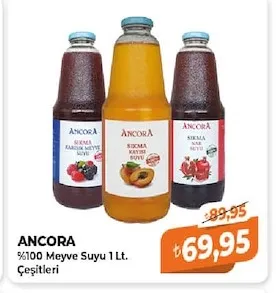 Ancora %100 Meyve Suyu 1 Lt