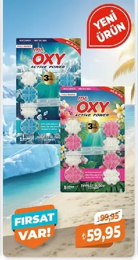 Mr. Oxy Arctic Sea Tuvalet Bloğu 5 Adet