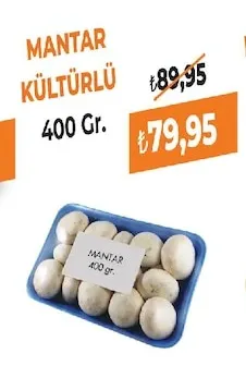 Mantar Kültürlü 400 Gr