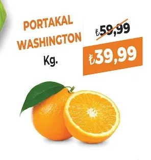 Portakal Washington Kg