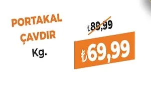Portakal Çavdir Kg