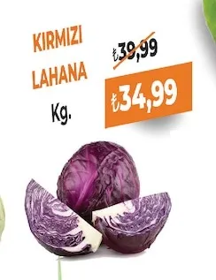 Kırmızı Lahana Kg