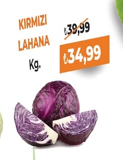 Kırmızı Lahana Kg