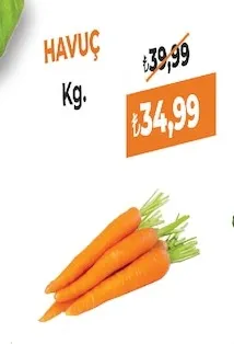 Havuç Kg.