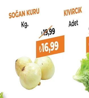 Soğan Kuru Kg.