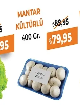 Mantar Kültürlü 400 Gr.