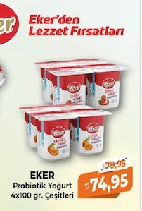 Eker Probiotik Yoğurt 4X100 Gr. Çeşitleri