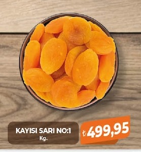 Kayisi Sari No:1 Kg.