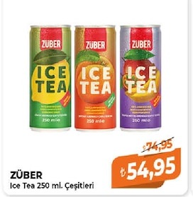 Züber Ice Tea 250 Ml Çeşitleri