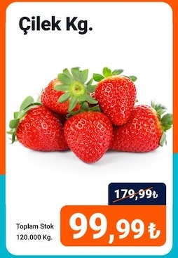 Çilek Kg.