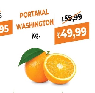 Portakal Washington Kg