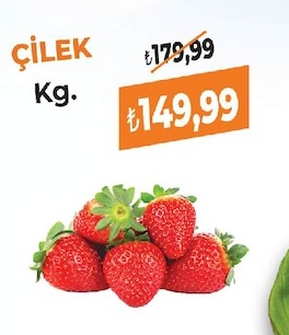 Çilek Kg