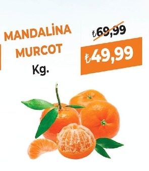 Mandalina Murcot Kg