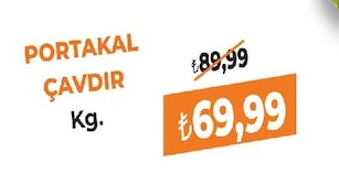 Portakal Çavdir Kg