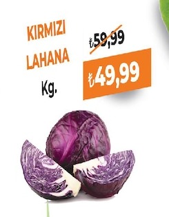 Kırmızı Lahana Kg.