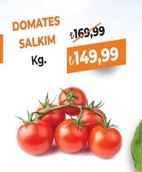 Domates Salkım Kg