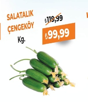 Salatalık Çengeköy Kg