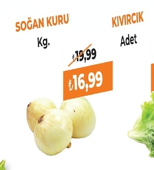 Soğan Kuru Kg.
