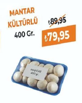 Kültürlü Mantar 400 Gr.