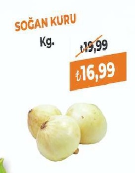 Kuru Soğan Kg