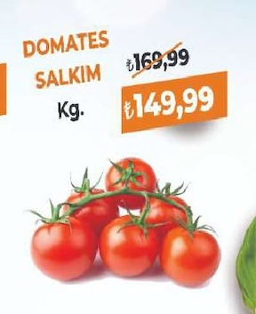 Domates Salkım Kg